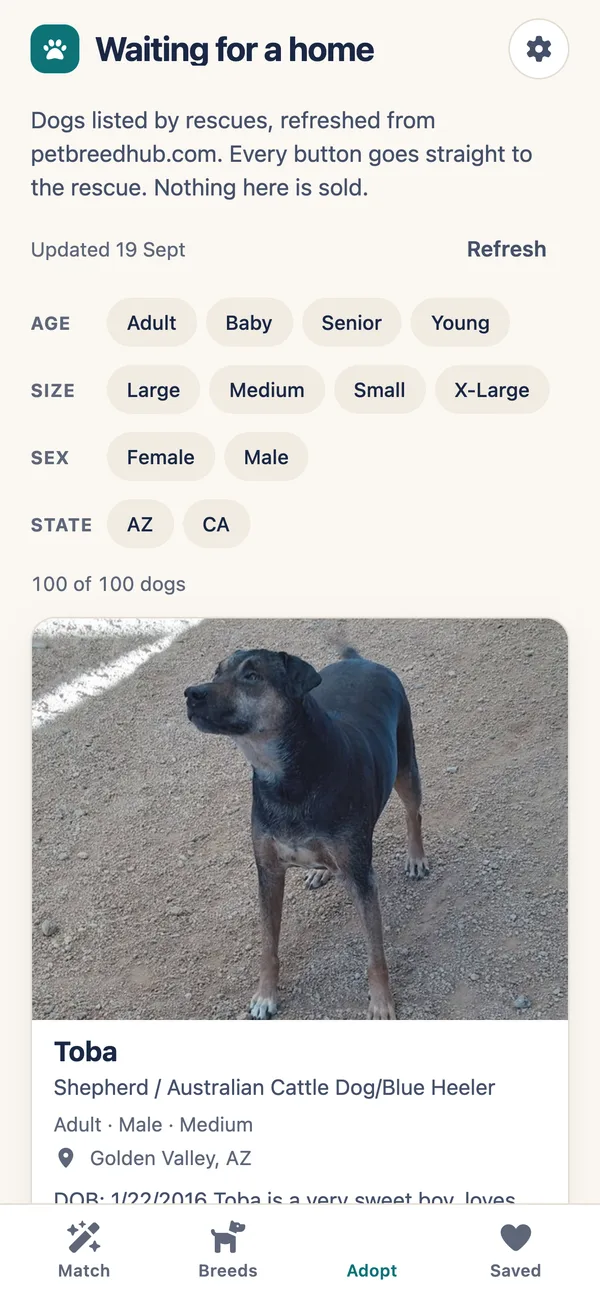 Pet Breed Hub screenshot: list of dogs waiting in rescues filtered by size and state
